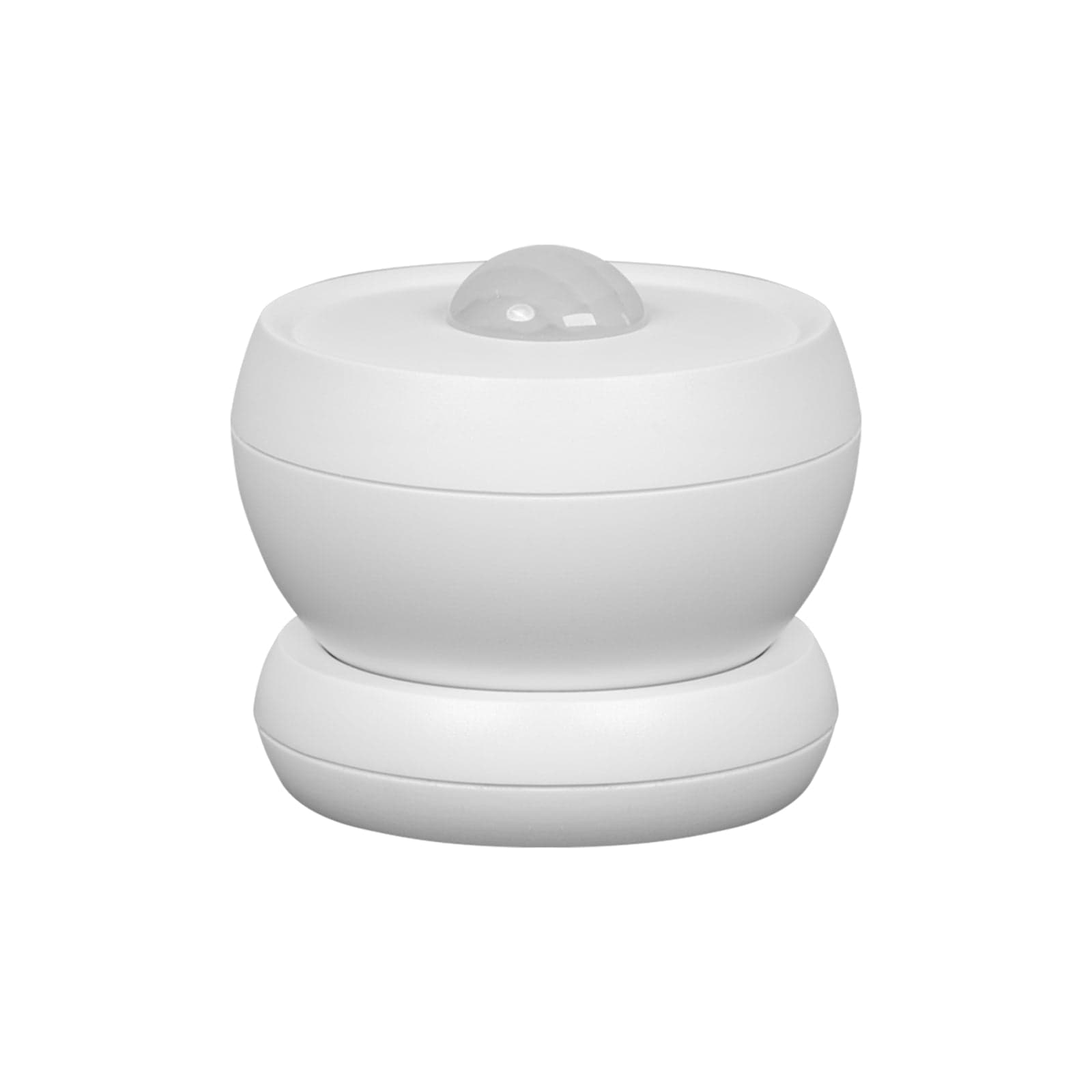 Motion Sensor