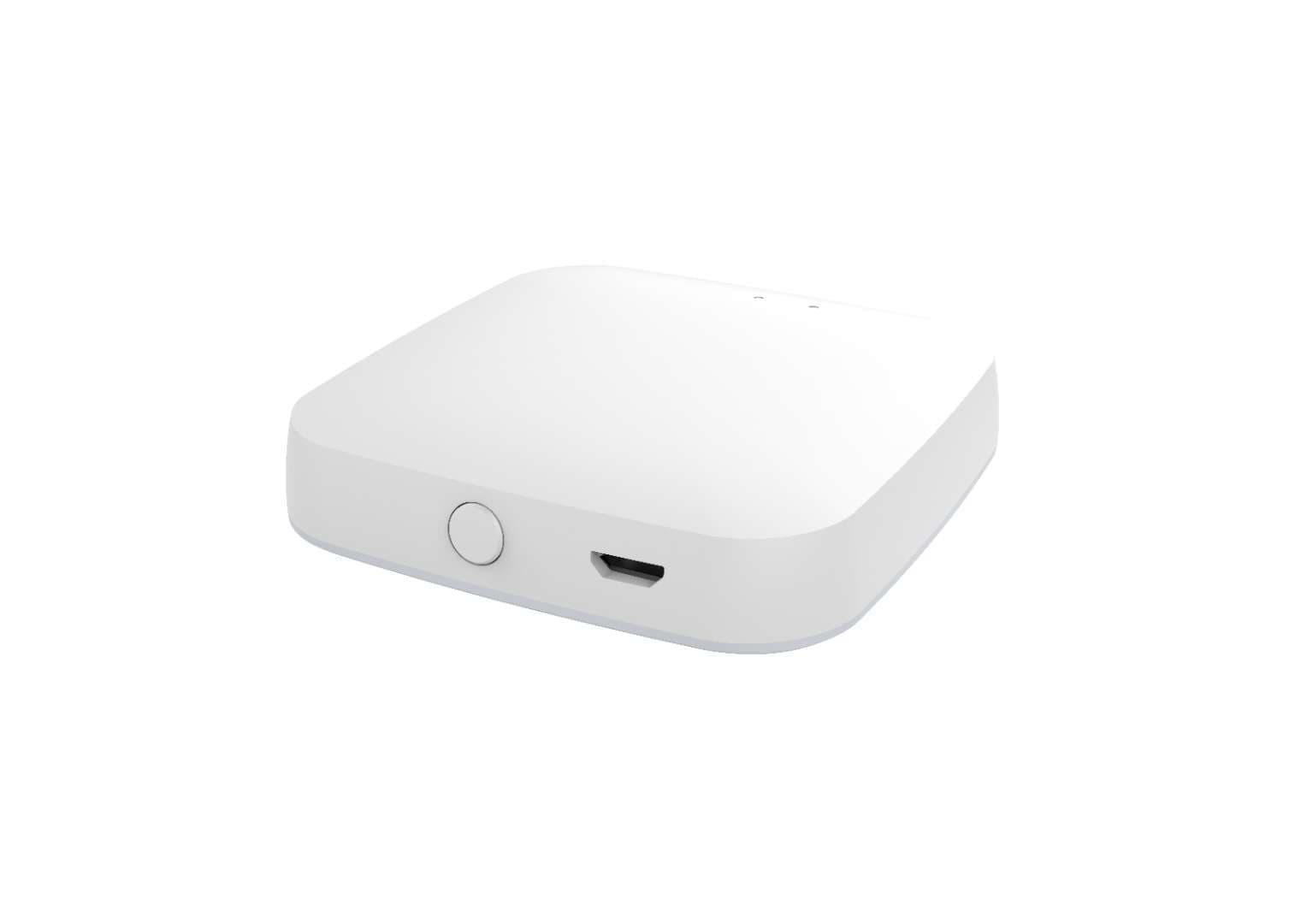 Smart Home Hub (Wired)