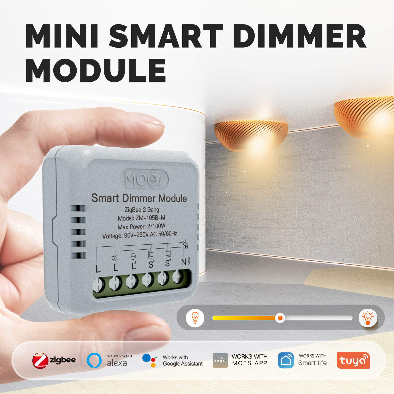2-Gang Zigbee Mini Dimmer Module